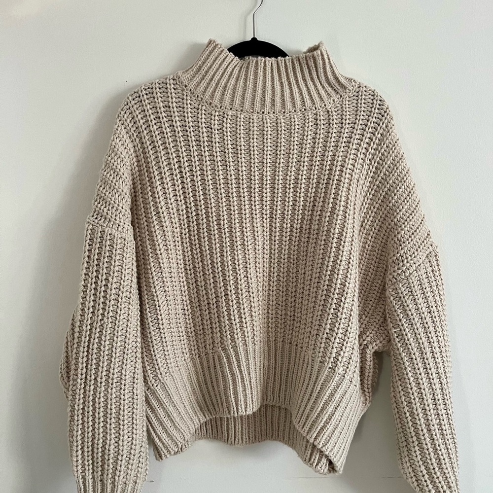 H&M Chunky Turtleneck Sweater
